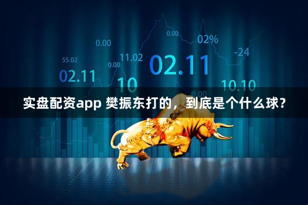 实盘配资app 樊振东打的，到底是个什么球？